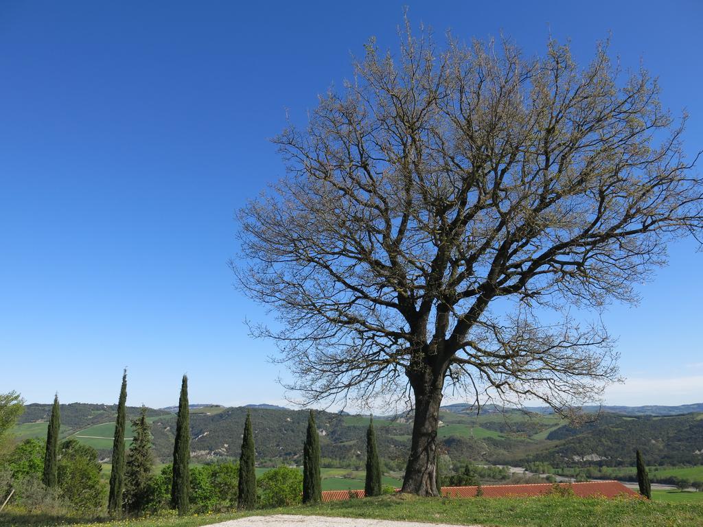 Agriturismo Il Palagetto Помаранче Екстер'єр фото